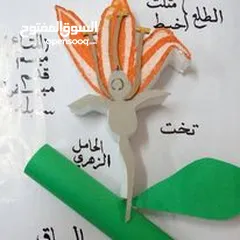  3 مجسمات و وسائل تعليمية مدرسية