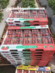  1 Fresh and delicious Strawberries.