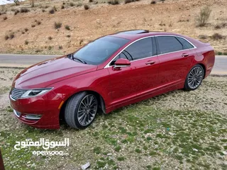  14 لينكولن 2016