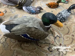  9 تحف لطيور كندية - مجموعة 20 قطعة - تم شراءها من كندا