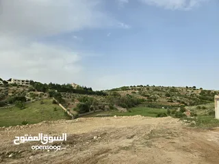  28 غرب سوف سهلات الغربيه قرب قصر السفير الاماراتي منطقه فلل و مزارع راقيه