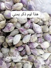  4 ابو علي الجميع انواع العسل سدر دوعاني وجميع انواع العسل اليمني