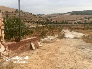  20 قفقفا 13 دنم منطقة مزارع وشاليهات وطبيعة خلابة مسيجة جدار حجر