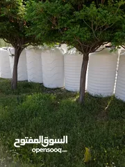  14 خزانات الغدالصحي البلاستيكية / خزان ماء