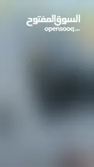  30 كيا مورنينغ موديل 2017 فحص نخب ، دهان شركة ، حساسات ، ماطور جديد وصيانة دورية ، خالية من الحوادث .