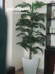  1 شجره للبيع جديده مو مستعمله راقيه وفخمه ورق
