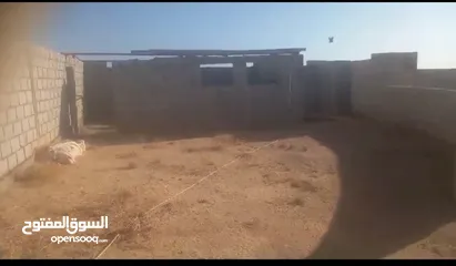  3 ارض للبيع في دبة حانوت تبعد عن مدينة العقبه 40 دقيقه