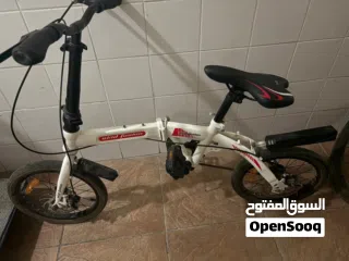  2 Skid fusion bicycle