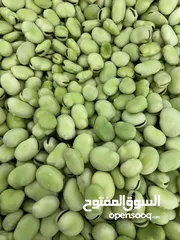  2 فول اخضر مبزر طازج للبيع بشكل عاجل