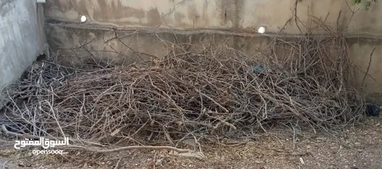  2 متفرقات للبيع في اربد