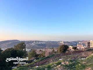  4 ارض طابو للبيع- رام الله-الريحان موقع مميز