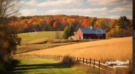  1 قطعة ارض في لوزا (سعر لقطة لقطة )