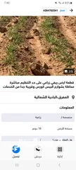  14 محال تجارية للايجار - الشارع الرئيسي/حي الاسكان-اسكان ابن سينا بالزرقاء الجديدة البتراوي