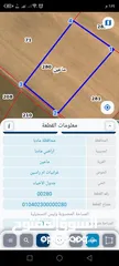  3 مادبا ماعين غرابيات ام راسين قطعة ارض زراعية بمنطقة هادئة و مميزة بمساحة 5300 م واصل الخدمات