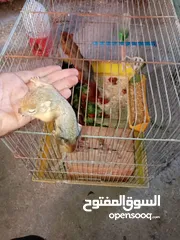  13 حاجات حلوه