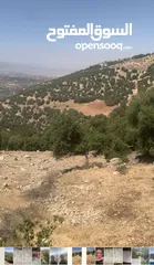  1 قطعه ارض مميزه الزعتري السلط