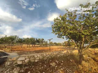  14 أرض سكنية  للبيع في ناعور "أبو الغزلان  " من المالك دون وساطة