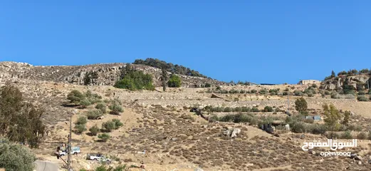  20 ارض زاعي سكني فلل