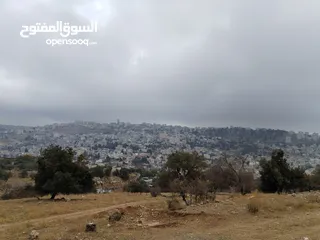  4 ارض للبيع أجمل مناطق وادي السير موقع هادئ ومطل  ممتاز للبناء أو الاستثمار من المالك مباشرة