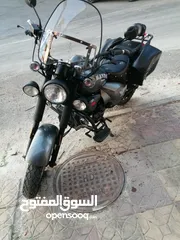  1 دراجة باندا للبيع