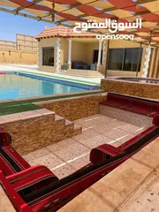  13 شاليه ومزرعة الفياض