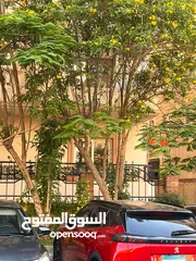  1 شقة للبيع فى النرجس