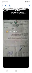  4 اوبل كورسا