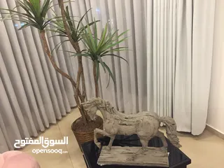  5 فيلا تجارية