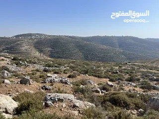  5 ارض مميزة للبيع في تلال عبوين وسنجل (تلال غرابة)
