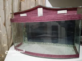  4 حوض سمك كبير