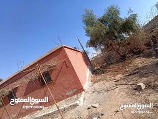  12 بيت مستقل للبيع في الهاشميه حي الفيحاء