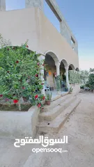  7 ابونعيم عمر