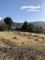  5 قطعه ارض مميزه في صافوط اراضي شمال عمان