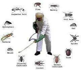  4 محاربة جميع  أنواع الحشرات و القوارض