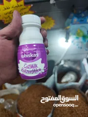  1 حليب ويسكاس بريطاني  يقدم كما هو