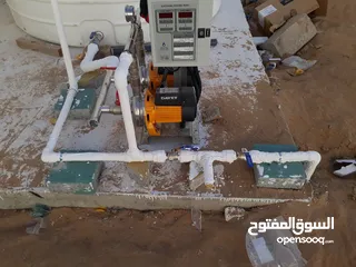  7 painter plumber and gypsum maintenance aslo tile making Al ain  أعمل سباك رسام وبلاط الجبس