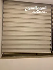  8 برادي رول / زيبرا للبيع