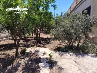  14 منزل للبيع مرخص مساحة البناء 155، عليه نص دونم