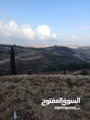  3 موجود ارضي للبيع في صوريف