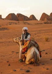  10 متوفر لدينا رحلات يومية من كسلا الي بورتسودان -عطبرة-الخرطوم-امدرمان -سنار - كوستي -مدني-القضارف .