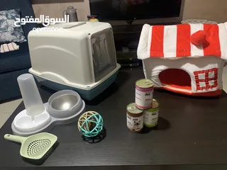  1 For sale اغراض متفرقات( قطط)