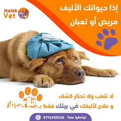  11 خدمات بيطرية متكاملة للحيوانات الاليفة