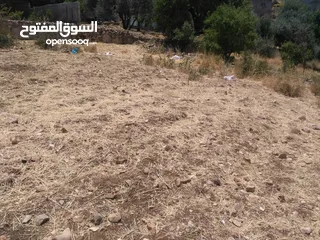  3 ارض للبيع في عجلون (صخرة)