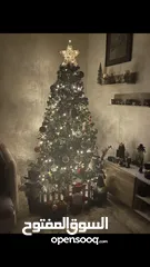  5 شجره عيد الميلاد