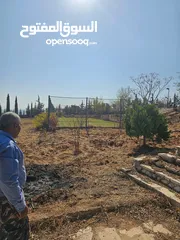  20 Farm for sale