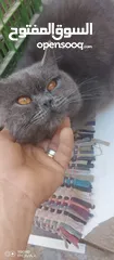  9 للبيع سعر مناسب