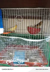  2 كنارات بالصلاة على النبي للبيع بالكوم