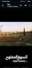  7 Farm for sale