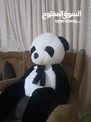  2 دبدوب باندا طول متر ونصف