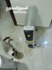  1 مدفاة هوائيه Oil redaitor heater